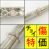 /ec/pic/product/sfl100-2/sfl100-2_2_s.jpg