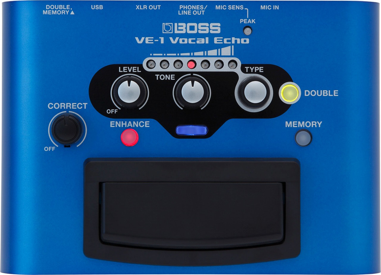 BOSS ボス / VE-1 [純正ACアダプター『PSA-100S2』セット