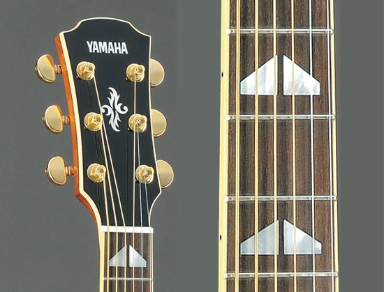 Amazon.co.jp: ヤマハ YAMAHA アコースティックギター FG800