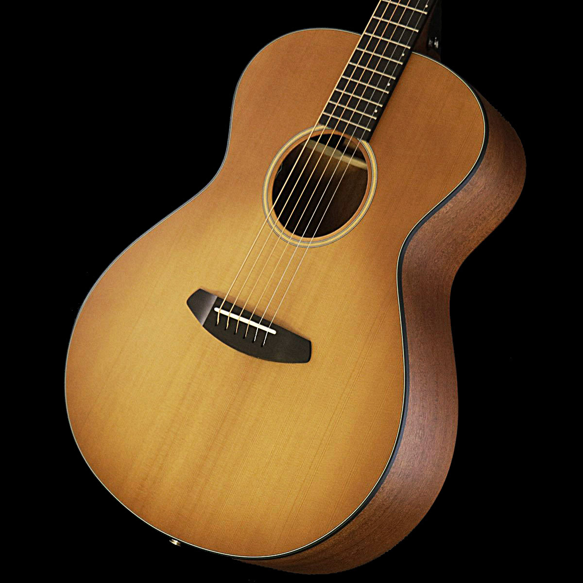 Breedlove / USA Series C21EJ Concert Cinnamon Burst