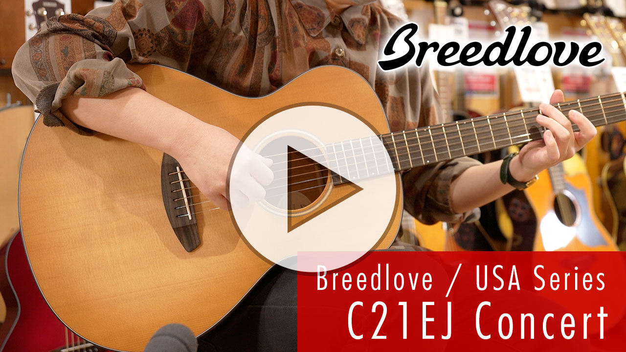 Breedlove マスターグレードモデル