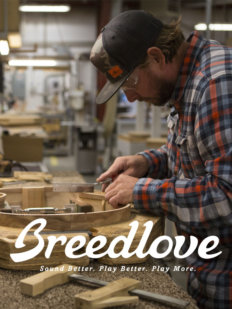 Breedlove Guitars