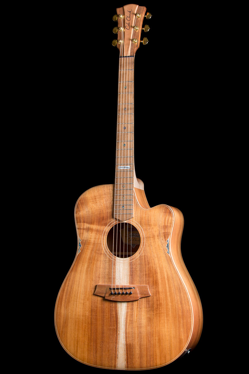 Cole Clark Lloyd Spiegel Signature Model