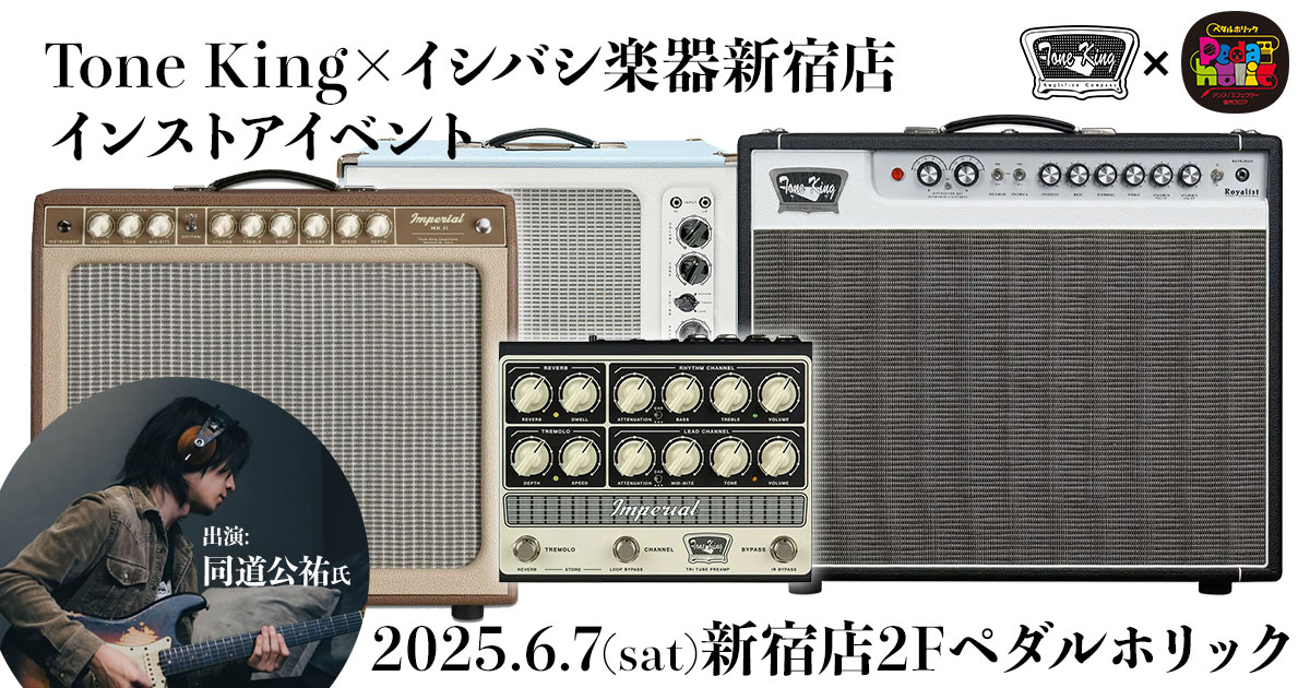 限定品】EDWIN×イシバシ楽器コラボ限定300本エレキギターケース