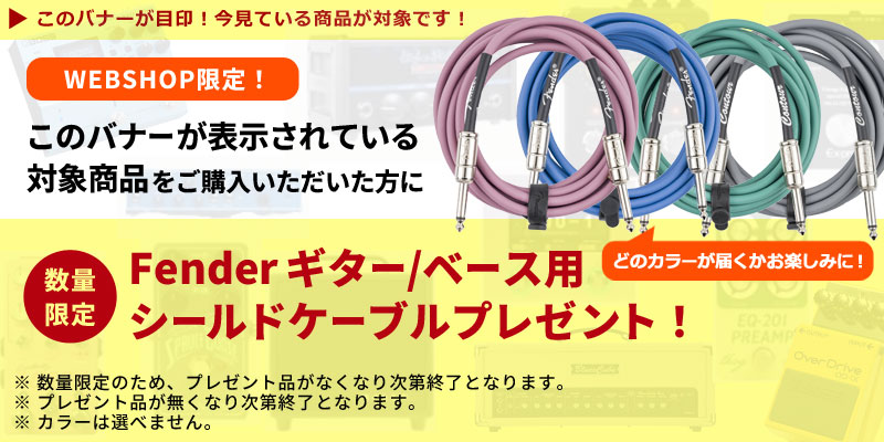 購入特典有り》HUDSON Electronics / Broadcast Dual Foot Switch
