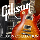 Gibson Collection