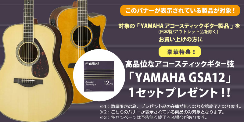 アコースティックギター弦プレゼント