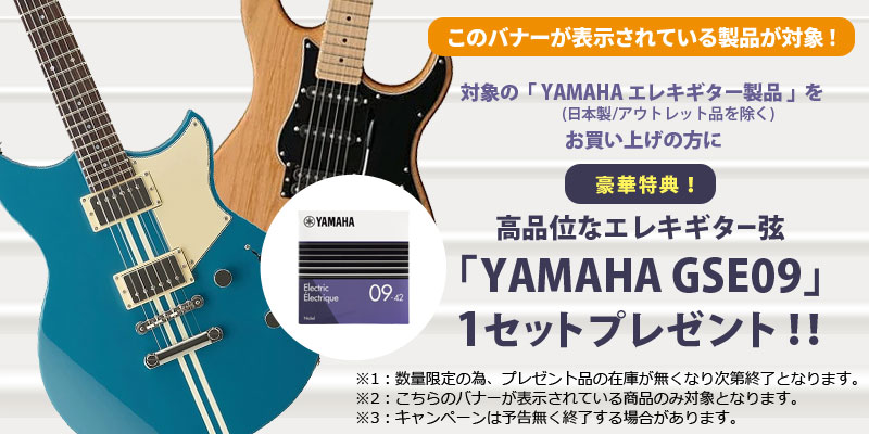 エレキギター弦プレゼント