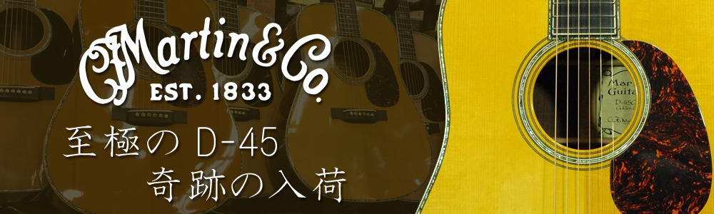 至極のMartin D-45 が奇跡の入荷