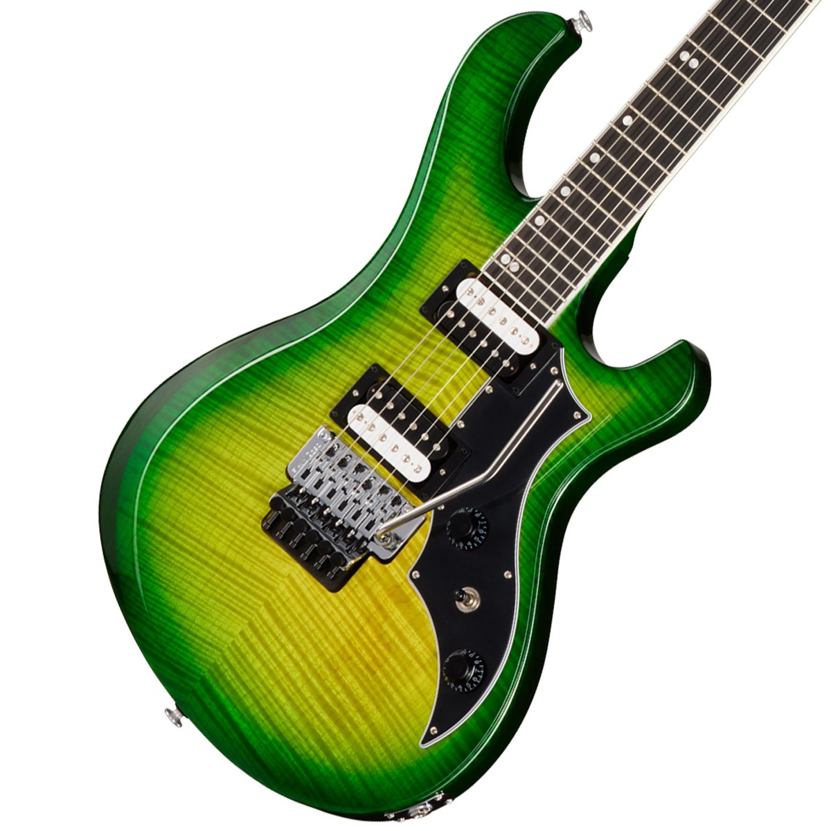 Victory Floyd Rose Iguana Burst