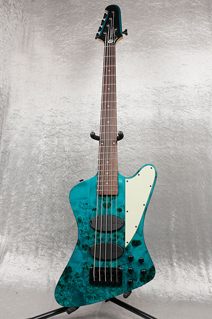 Phoenix 5st Eye Poplar Top Turquoise Gloss