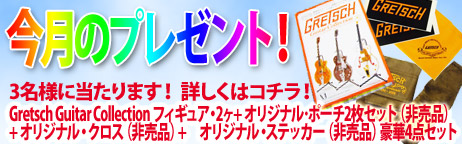 毎月厳選された楽器やアクセサリーが当たります！ 今回はFender Japan 非売品　ピック＆カードポーチが当たります!