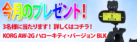 毎月厳選された楽器やアクセサリーが当たります！ 