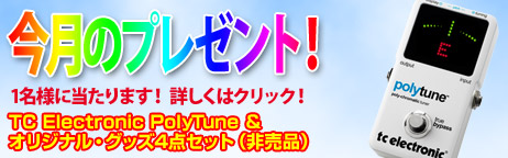 毎月厳選された楽器やアクセサリーが当たります！ 