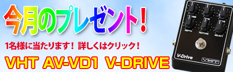 毎月厳選された楽器やアクセサリーが当たります！ 