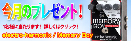 毎月厳選された楽器やアクセサリーが当たります！ 