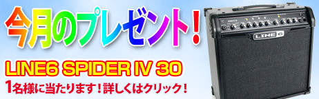 毎月厳選された楽器やアクセサリーが当たります！ 