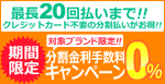 20回払いまで金利0％