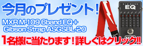 毎月厳選された楽器やアクセサリーが当たります！ 