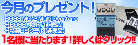 毎月厳選された楽器やアクセサリーが当たります！ 