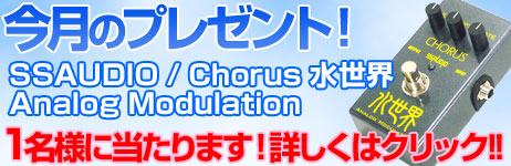 毎月厳選された楽器やアクセサリーが当たります！ 