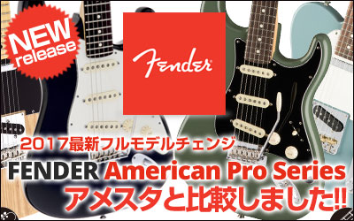 FENDER American Professional Series