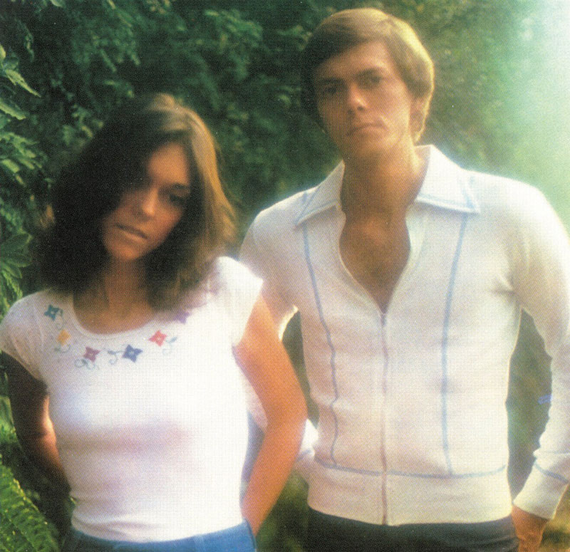 HORIZON / CARPENTERS