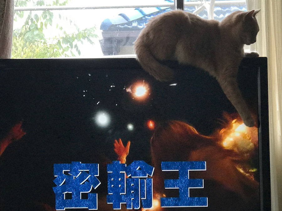 密輸王