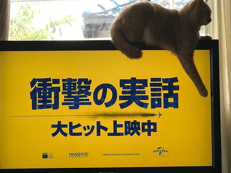 衝撃の実話