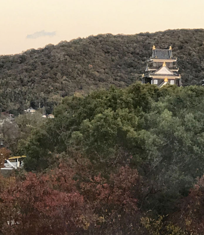 岡山城