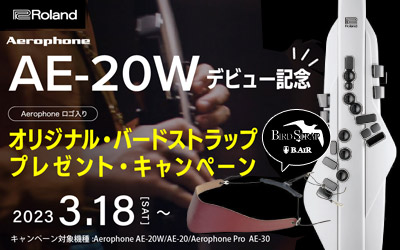 TOP_ｷｬﾝﾍﾟｰﾝ_9