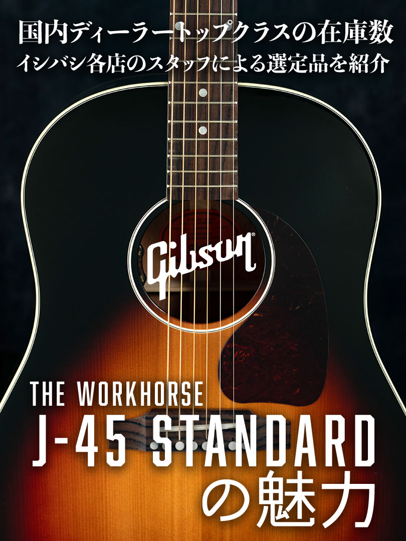 Gibson J-45 Standard の魅力