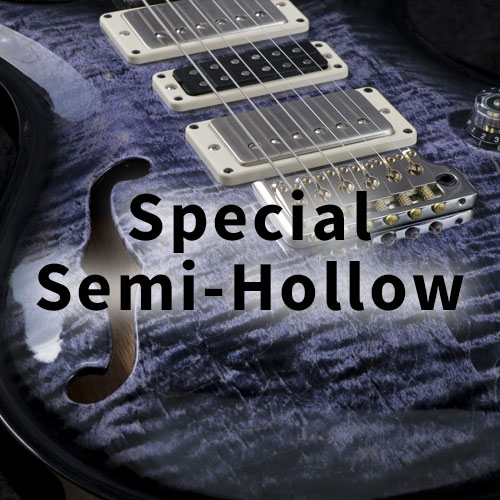 Special Semi-Hollow