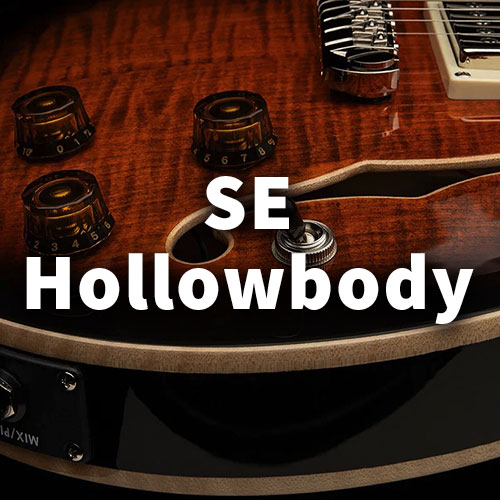 SE Hollowbody