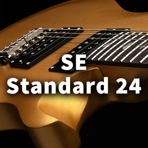 SE Standard 24