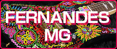 FERNANDES MG