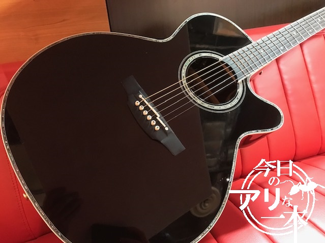 ＴＡＫＡＭＩＮＥ　　ＤＭＰ５００　ＣＵＳＴＯＭ　匠