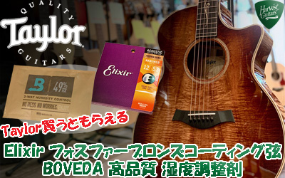 Harvest Guitars Taylorキャンペーン