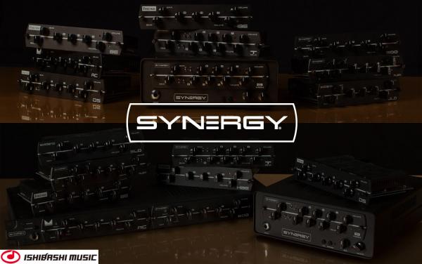 SYNERGY AMPS 本体＆SLOモジュールセット