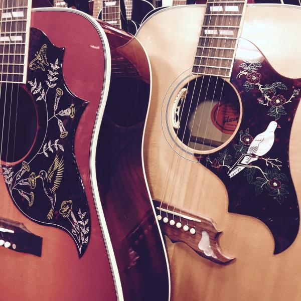 ピックガードがカッコいいアコギ Gibson Hummingbird Dove特集 石橋楽器 名古屋栄店 ブログ