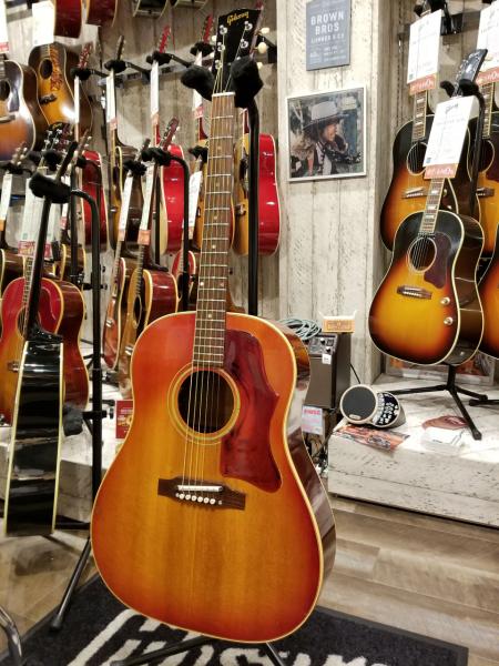 Vintage File in Harvest Guitars #1 | イシバシ楽器スタッフブログ