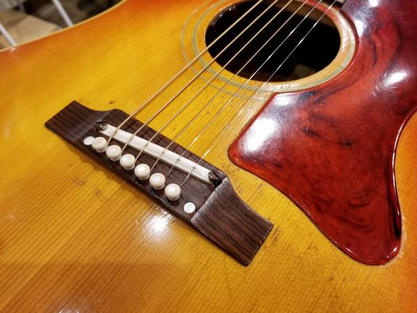 Vintage File in Harvest Guitars #1 | 石橋楽器 御茶ノ水本店HARVEST 