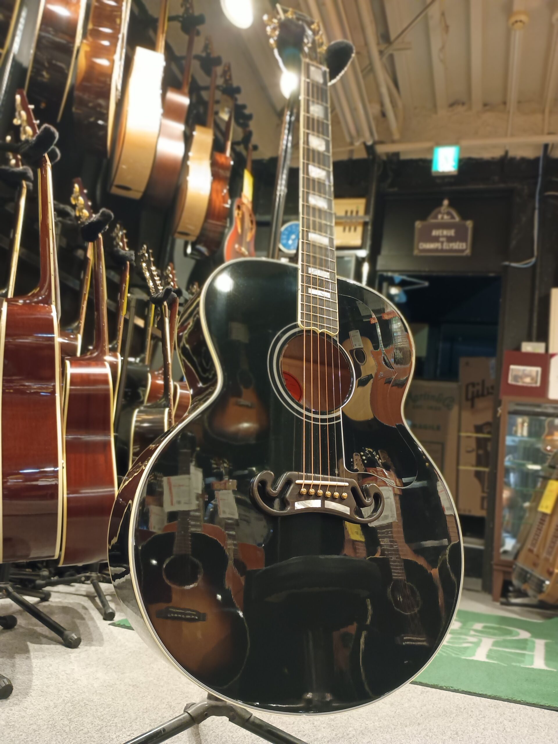 IMG_20241014_175945183_PORTRAI