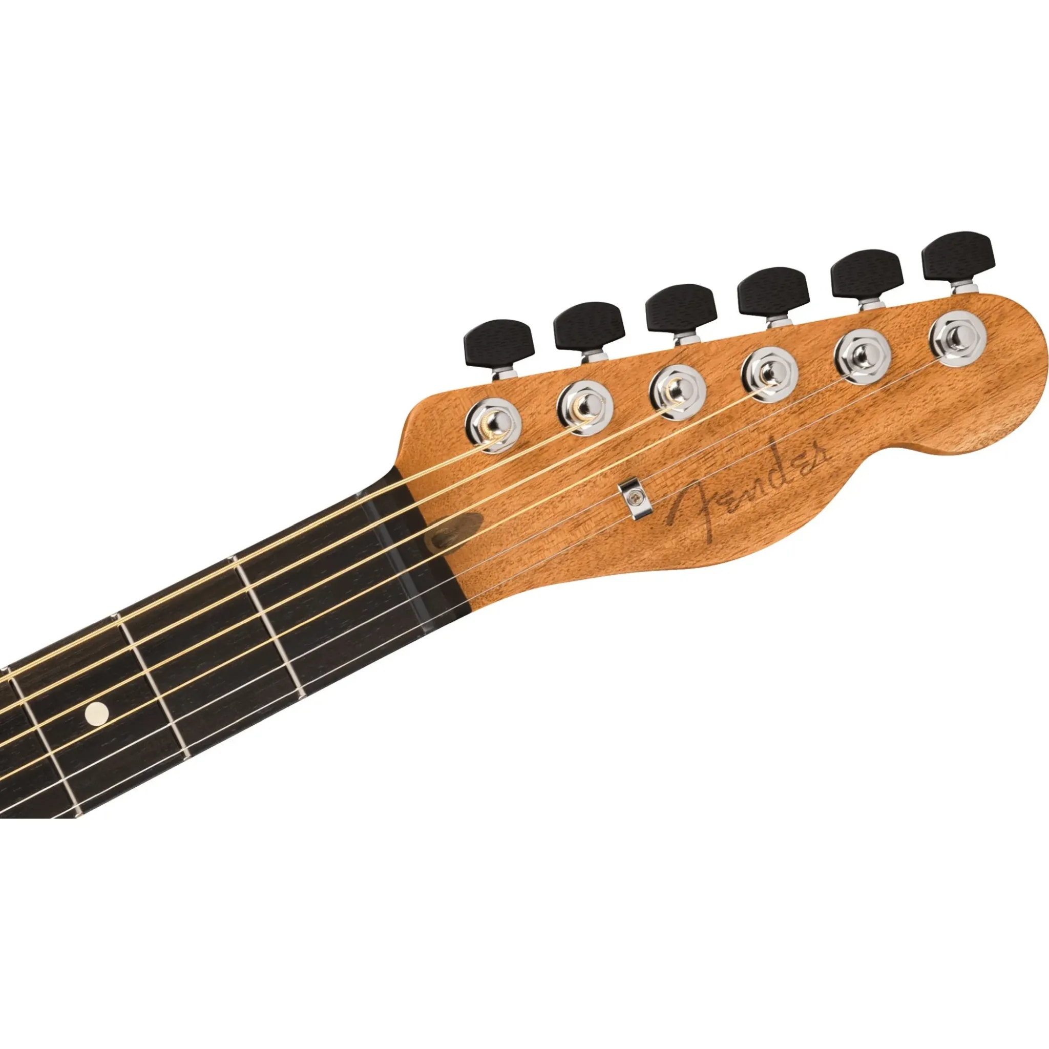 Blue Paisley Mahogany Neck Streaked Ebony Fingerboard