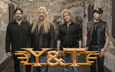 Y&T Information