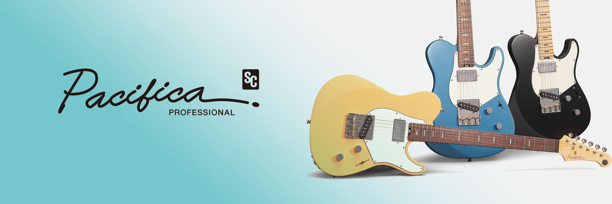 Pacifica Professional